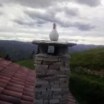 Pasiega Unica