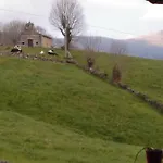 Pasiega Unica * Selaya