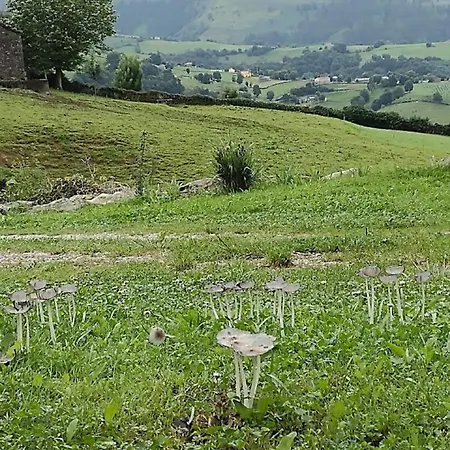 Casa rural Pasiega única