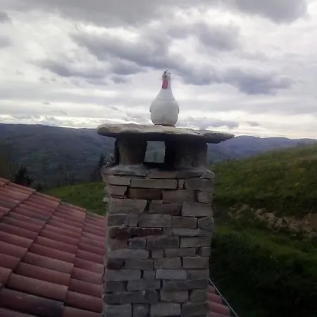Pasiega única