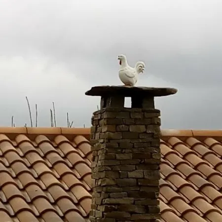 Pasiega única