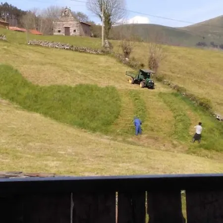 Pasiega Unica Selaya