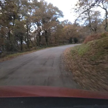 乡村民宿 Pasiega Unica Selaya