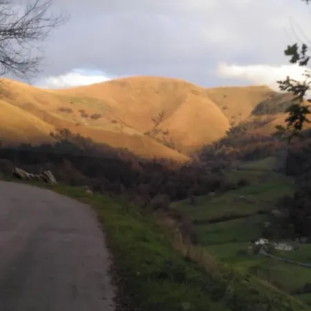 Pasiega Unica Selaya