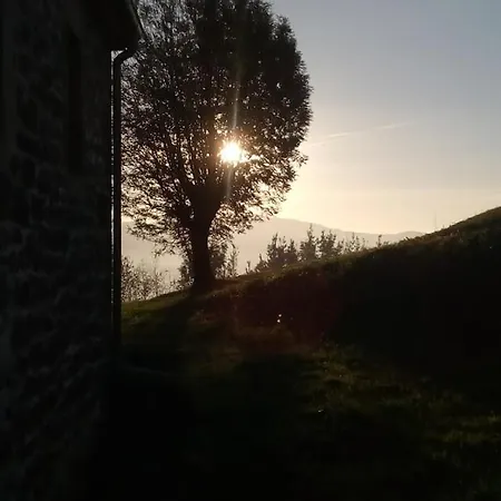 Pasiega Unica 乡村民宿 *