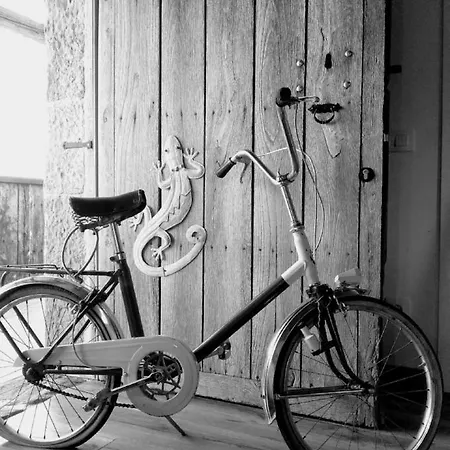 乡村民宿 Pasiega Unica *