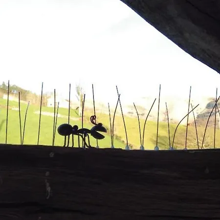 Pasiega Unica 乡村民宿 *