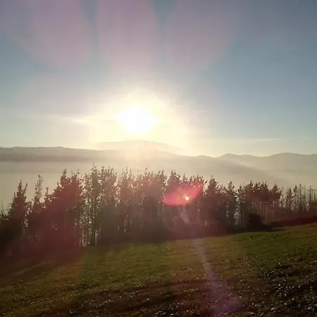 Pasiega Unica Selaya