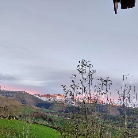 Pasiega Unica *