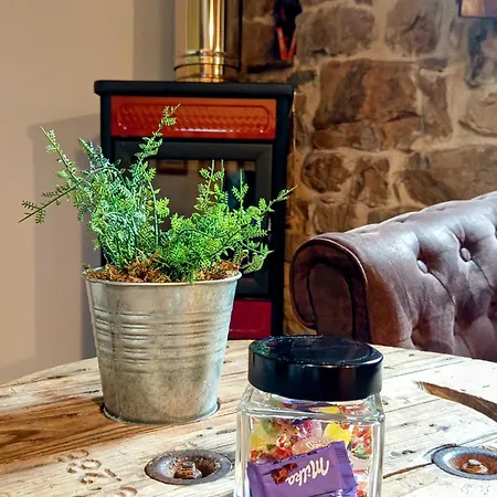 乡村民宿 Pasiega Unica *