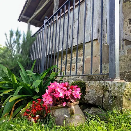 Pasiega Unica Selaya