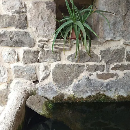 Pasiega Unica בית כפרי *