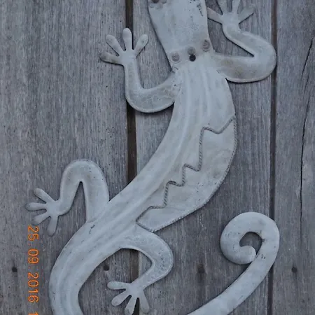 乡村民宿 Pasiega Unica