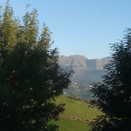 Pasiega Unica Selaya