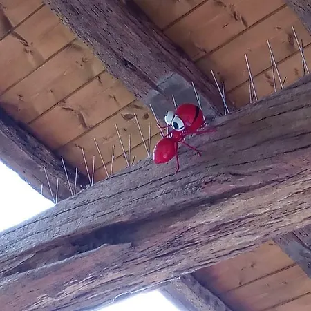 Pasiega Unica Casa di campagna