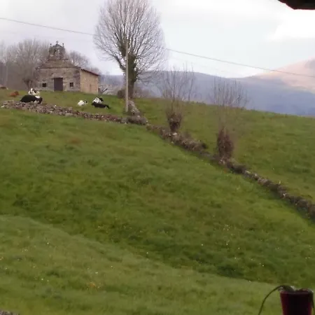 Pasiega Unica * Selaya