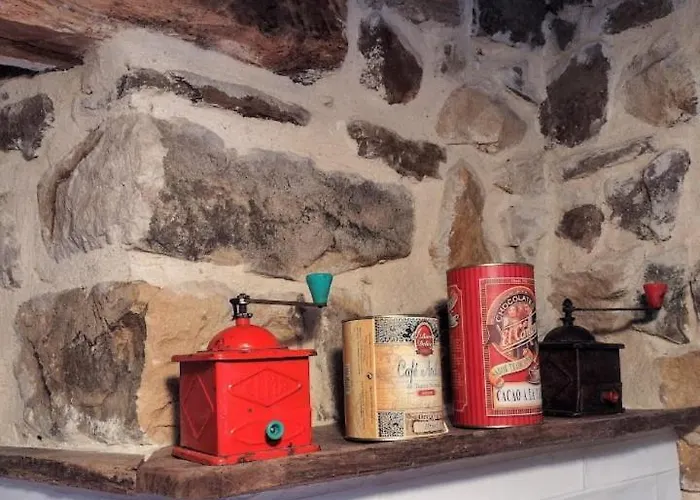 Pasiega Unica Selaya