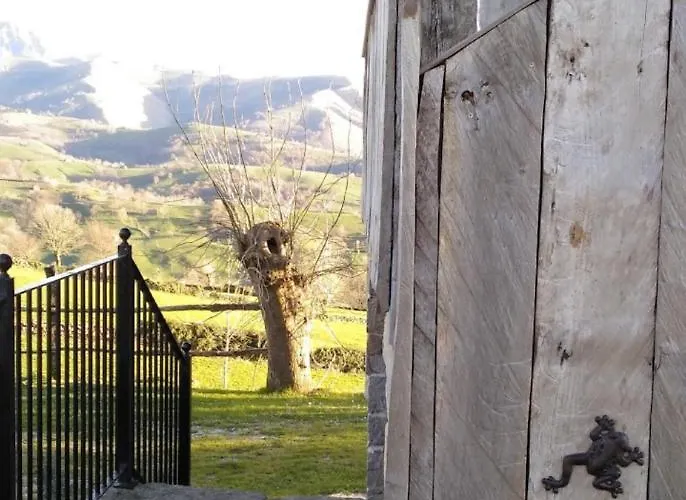 Pasiega Unica Selaya