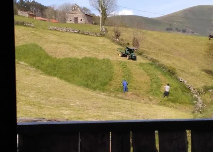 Pasiega Unica Selaya