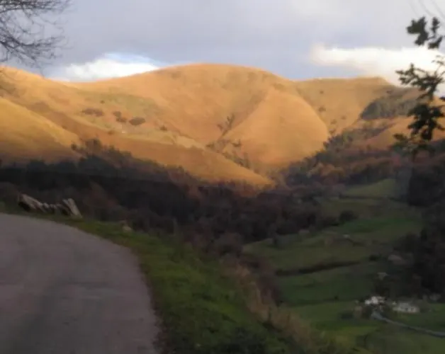 Pasiega Unica Selaya