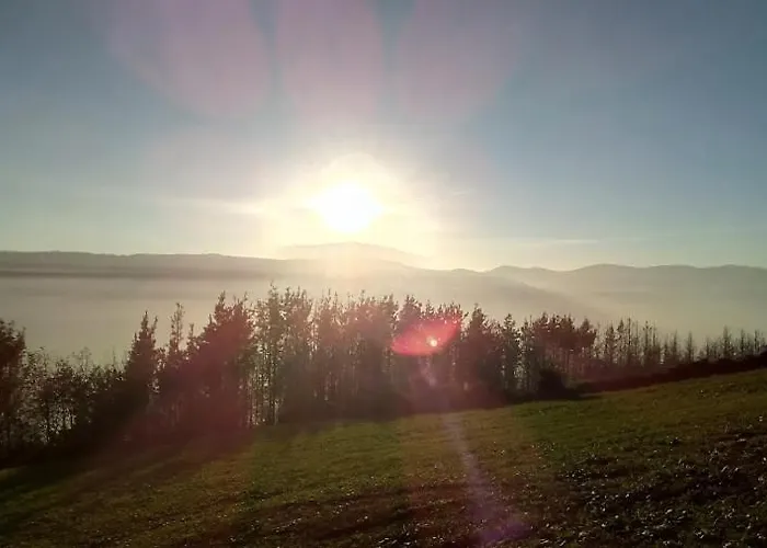 Pasiega Unica Selaya