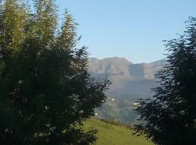 Pasiega Unica Selaya