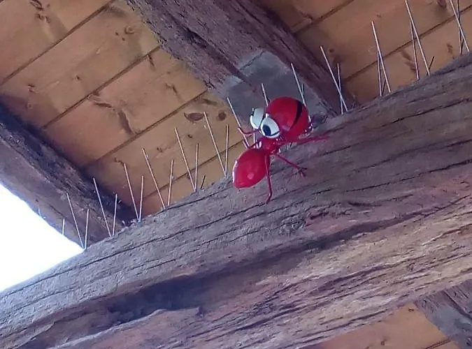 Pasiega Unica Séjour à la campagne