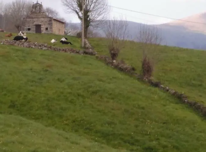 Pasiega Unica * Selaya